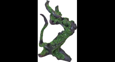 De Boon Wortelhout Bruin + Mos 23CM