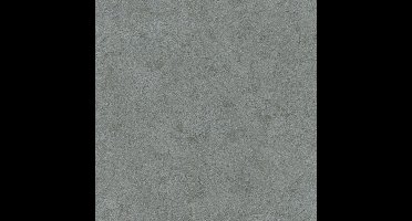 Fifty Shades/Unis 5 uni d.grijs behang (vliesbehang, grijs)