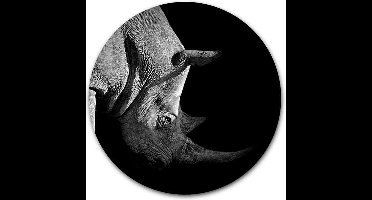 Wandcirkel Neushoorn - WallCatcher | Acrylglas 100 cm | Muurcirkel Rhino