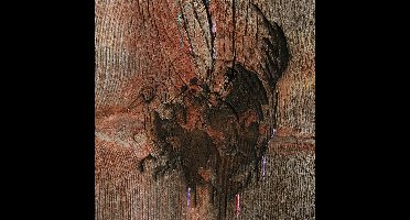 Enter The Slasher House