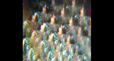 Into The Diamond Sun