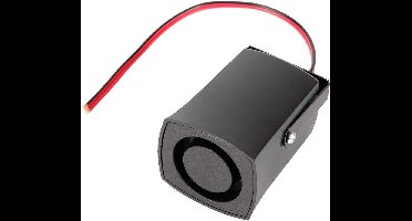 Achteruitrijalarm voor Auto - 12V Universele Pieper Zoemer 115db Zwart - Waarschuwingssignaal voor Terugrijden