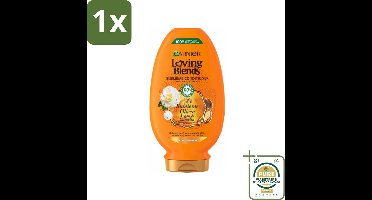 1 x Garnier Loving Blends Argan- en Cameliaolie Conditioner 250 ml- Droog Haar - Dof Haar - Arganolie - Camelliaolie - Haarvoeding