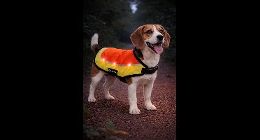 Hondenjas – Regenjas hond – veiligheidsvest met led licht Simi Fluo oranje M – reflecterend – spatwaterdicht – oplaadbaar – voor alle honden