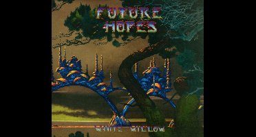 Future Hopes