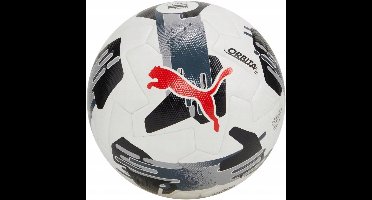 Puma Orbita 1 TB FIFA Quality Pro Football White-Grey 84322 02 5