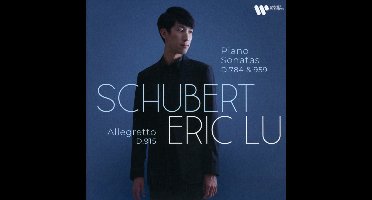 Schubert: Piano Sonatas, D784 & 959/Allegretto, D915