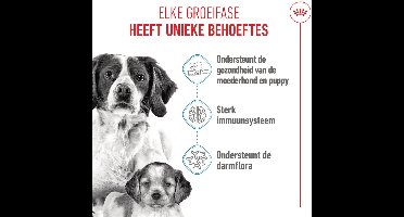 Royal Canin - Hondenvoer Droog Mother & Baby Medium Starter - 1 kg