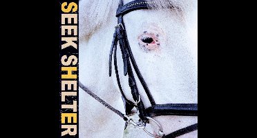 Iceage - Seek Shelter (LP) (Coloured Vinyl)