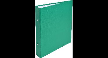 Exacompta 20x Ringband in PP harde omslag 2 ringen 30mm - A5 - Groen - 51073E