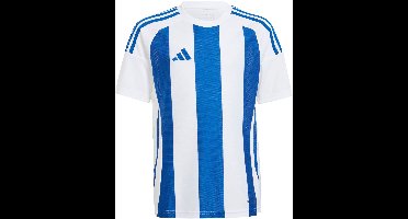 adidas T-shirt Kinderen Striped 24 Wit-Blauw - Maat 140cm