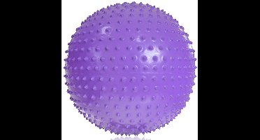PROfit Bal gimnastyczna met Massage 55cm Paars