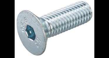 Binnenzeskantbout verzinkt 8.8 platkop 8x30 (200)