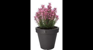 Pro Garden Bloempot - antraciet - rond - D25 cm - kunststof - plantenpot - tuin buiten