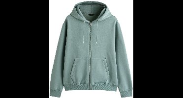 Next Hoodie