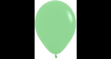 Daily Style – Ballonnen Pastel – Mint Groen – 10 stuks – Feestdecoratie