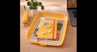 Leitz Cosy Brievenbak  - Brievennbakjes Voor A4- En C4-Formaten - Ideaal voor Thuiskantoor/Thuiswerken - Warm Geel
