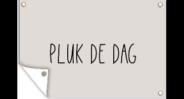 Tuinposter tekst - Tuindecoratie - Taupe - Zandkleur - Quotes - Carpe Diem - Pluk de dag - 120x80 cm - Schutting doek - Tuindoek - Buitenposter