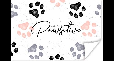 Poster Stay pawsitive - Honden - Quotes - Spreuken - 30x20 cm