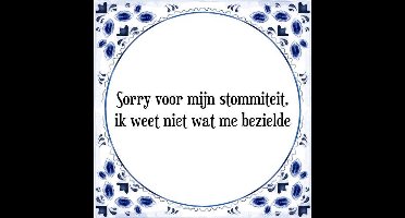 Tegeltje met Spreuk (Tegeltjeswijsheid): Sorry voor mijn stommiteit, ik weet niet wat me bezielde + Kado verpakking & Plakhanger