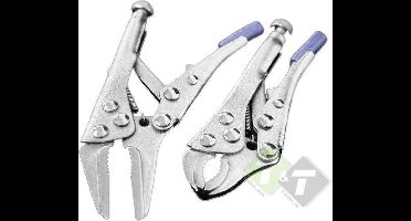 Griptangen set- 2 delig,-4 duims griptang-5 duims puntgriptang