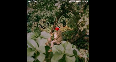 Pale Jay - Low End Love Songs (CD)