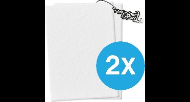 2x Universeel Micro / Hygiëne filter voor alle Stofzuigers - 2 stuks 200x125mm Kwaliteits Uitblaasfilter - O.a. geschikt voor Miele, Siemens, Philips, Bosch, Siemens, AEG, Electrolux etc.