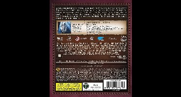 Warner Home Video The Lord of the Rings: the Two Towers DVD/Blu-Ray Full HD Engels, Italiaans