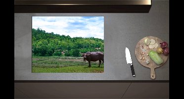 Inductieplaat Beschermer - Buffalo bij Groen Weiland aan de Rand van Bos - 70x55 cm - 2 mm Dik - Inductie Beschermer - Bescherming Inductiekookplaat - Kookplaat Beschermer van Zwart Vinyl