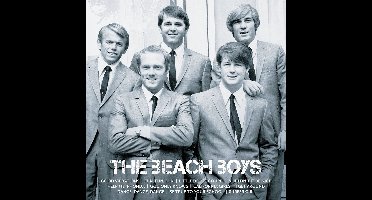 The Beach Boys - Icon (CD)