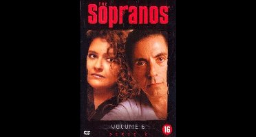 Sopranos 2.6 (DVD)