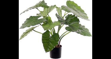 Kunstplant - Olifantsoor Plant - Alocasia calidora hoogte 60cm