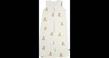 Jollein Baby Slaapzak Winter/Zomer Jersey 110cm - Teddy Bear - Winterslaapzak