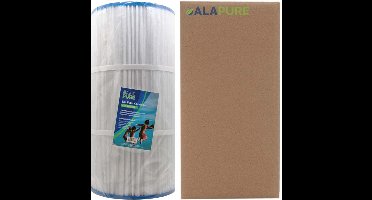 Spa Waterfilter voor Pleatco PCD100W