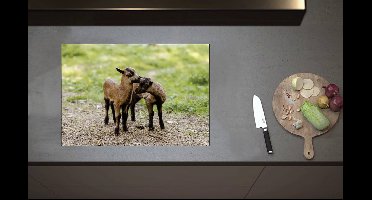 Inductieplaat Beschermer - Bruin met Zwarte Kussende Lammetjes - 70x52 cm - 2 mm Dik - Inductie Beschermer van Vinyl