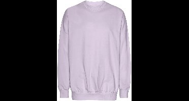 Neutral Oversized Sweatshirt NET63011 - Dusty Purple - XXL