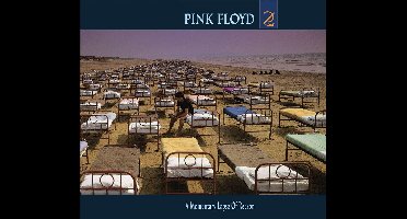Pink Floyd - A Momentary Lapse Of Reason