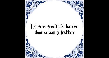 Tegeltje met Spreuk (Tegeltjeswijsheid): Het gras groeit niet harder door er aan te trekken + Kado verpakking & Plakhanger
