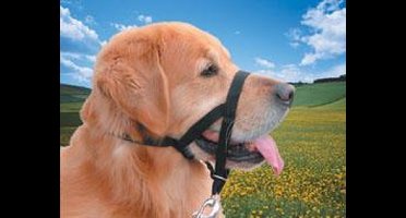 Nobby easy leader nr.0, anti-trek zwart - 1 ST