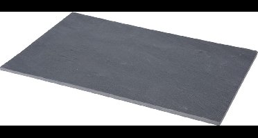 Set van 2x stuks serveerplanken/snijplanken/borden van leisteen 30 x 20 cm