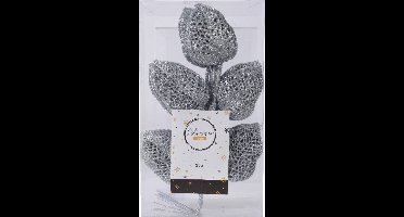 Spray plc l2b16h36 cm zilver 10st kerst