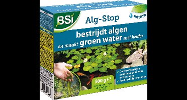 Alg-Stop - Maakt vijverwater helder in enkele dagen - Zwemvijver - Algenbestrijding - 500 g voor 12,5 m³