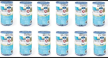 Intex 29000 Filter Cartridge Type A 12 Stuks voor Zwembad 244/305/366 cm