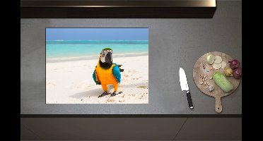 Inductieplaat Beschermer - Blauwe, Gele en Groen Gekleurde Are Papegaai op Wit Strand bij Oceaan - 70x52 cm - 2 mm Dik - Inductie Beschermer - Bescherming Inductiekookplaat - Kookplaat Beschermer van Zwart Vinyl