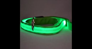 *** Lichtgevende LED Hondenriem - Altijd zichtbaar in het donker Hondenriem - In opvallend groen - van Heble® ***