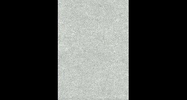 Behang - Etnisch - Vliesbehang - Muurdecoratie - Topchic - 0,53 x 10,05 m.