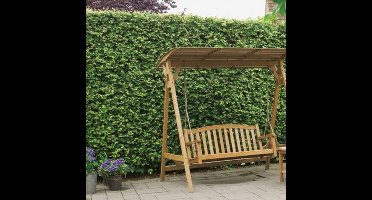 4 x Ierse Klimop - Klimplant en Bodembedekker Wintergroen - Hedera helix 'Hibernica' gestokt hoogte 60-80cm