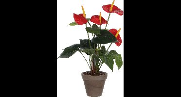 Mica Decorations Kunstplant Anthurium - rood - 40 cm - grijze pot - nepplant - kamerplant
