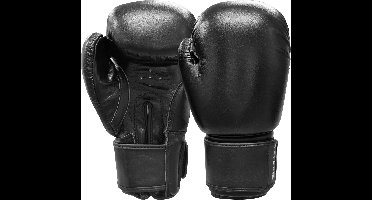 Stiel Basic Bokshandschoenen V2 - Leer - Zwart - 14 oz.