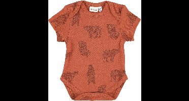 Trixie -  Romper Korte Mouw